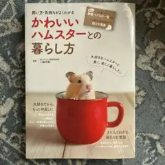 Item thumbnail for item cc032da9-0672-4cc4-a2d0-f3f2aa61ee8a