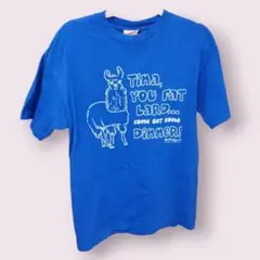 Mighty Fine マイティ ファイン 半袖Tシャツ ブルー YA4748