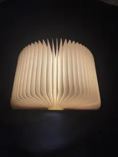 ブック型ライト(充電ケーブル付き)
