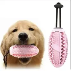 Item thumbnail for item 629509f7-de58-4839-8cc8-8314973df9e3