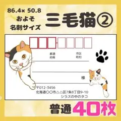 【三毛猫②】宛名シール　差出人シール　普通サイズ　40枚　シンプル　動物　ネコ