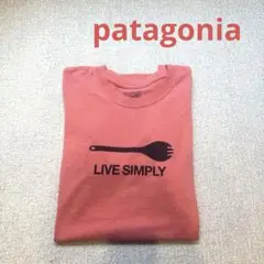 パタゴニア　patagonia LIVE SIMPLY Tシャツ Lサイズ