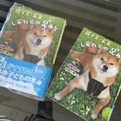 捨て犬・未来、しあわせの足あと 5.6年生用読書感想文用