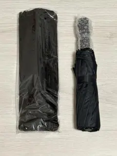 Item thumbnail for item 013e39fc-0e06-4640-a901-754d34b1076f