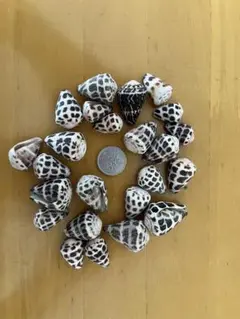 Item thumbnail for item d6ebfc44-d089-4819-87ce-7708e70381ec