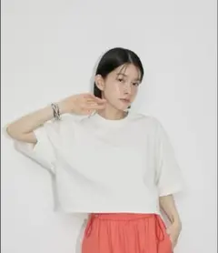 【洗える】クロップドフォルムTS/Sアダムエロペ トップス カットソー・Tシャツ