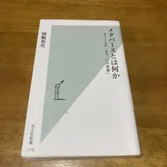 メタバーとは何か 岡嶋裕史 光文社新書