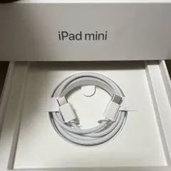 iPhone iPad 純正イヤホン付属品　タイプCto Cケーブル