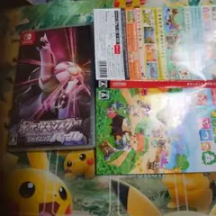 ニンテンドーSwitchポケットモンスターパール　パッケージDSソフト説明書
