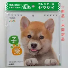 子柴 2024年カレンダー　ミニ壁掛け　ヤマケイ