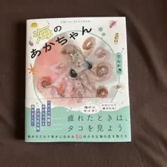 海のあかちゃん