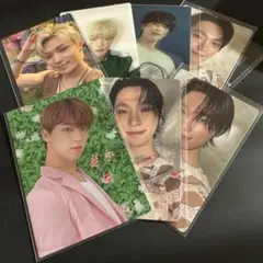 seventeen ディノ　トレカ　まとめ売り 8枚