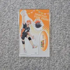 ハイキュー!! ファンパーク 日向翔陽 haikyuu!