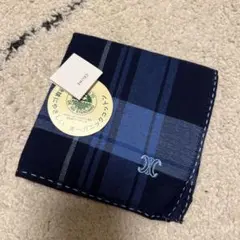 Item thumbnail for item 3eef537b-8116-4ed6-9ee4-77ce056d09ad