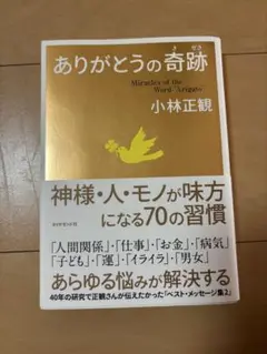 Item thumbnail for item a22ac1c3-8f3c-4a92-9c2c-42ef6a54b075