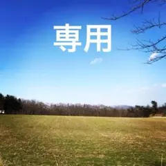2025年最新】グレモン錠の人気アイテム - メルカリ