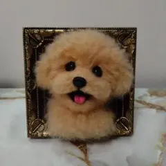 羊毛フェルト　トイプードル　ハンドメイド　犬　フレーム