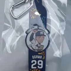 東京ヤクルトスワローズ　小川泰弘