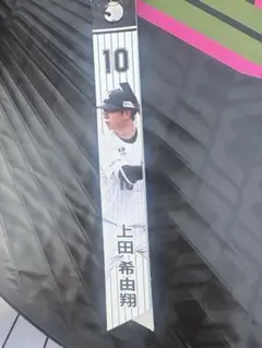 千葉ロッテマリーンズ　マッチデーボンフィン　上田