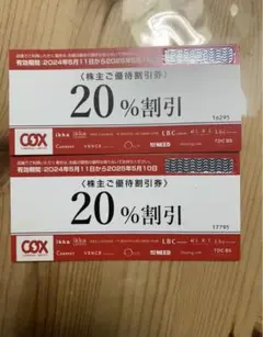 CSX 株主優待券 20%割引
