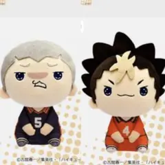 ハイキューもちぴこぬいぐるみ(西谷夕,田中龍之介)
