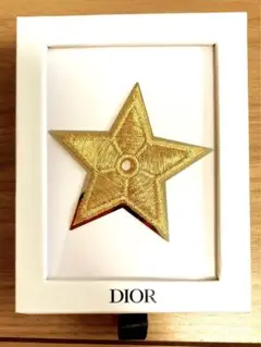 DIORピンバッチ