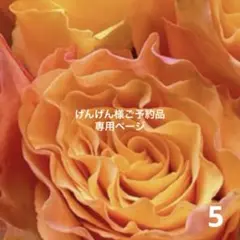 Item thumbnail for item 9644b038-1d89-47d0-b832-0e4f252b9563