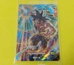 バーダック　SDVP-022