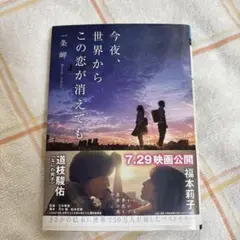今夜、世界からこの恋が消えても 小説