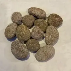 【値下げ】新潟　ヒスイ海岸　姫川薬石　500g