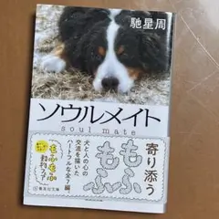 ソウルメイト