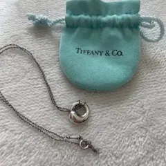【TIFFANY】ティファニー エターナル ネックレス シルバー925