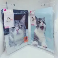 *【未使用新品】もちまる 四角クリアジップバッグ*