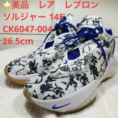 ⭐️美品　レア　レブロン ソルジャー 14E　CK6047-004　26.5cm
