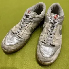 Nike Dunk low proシルバー スニーカー　稀少　29.0cm