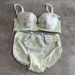 新品　ワコール　ウイング ブラジャーショーツセット　後ろ姿きれいブラ　C75