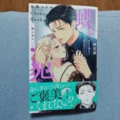 蝶か犯か ～極道様 溢れて溢れて泣かせたい～⑪