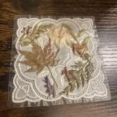 ハンドメイド　コースター　紅葉
