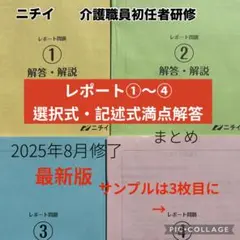 ニチイ 初任者研修　レポート問題①～④の満点解答、記述式まとめ