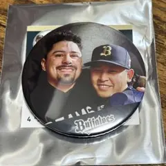 Item thumbnail for item 1950ade5-5e89-48b2-ad84-5a1c02606a67