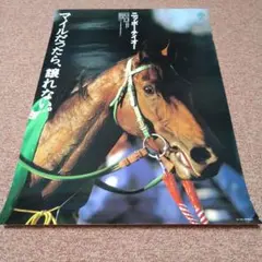 ヒーロー列伝 ポスター ニッポーテイオー B3サイズ