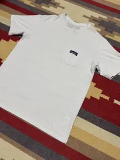 パタゴニア Tシャツ