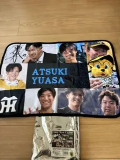 Item thumbnail for item 7b82739b-61a2-4257-ba28-df76cd46ee38