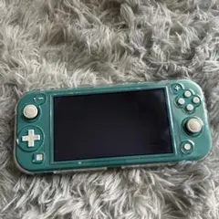 Switch Lite