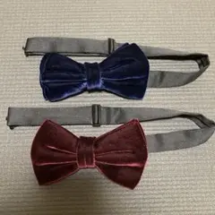 Item thumbnail for item addcc568-3eb9-4508-81de-5bdf28ea85b9