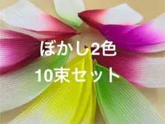 蓮紙ぼかし10束セット
