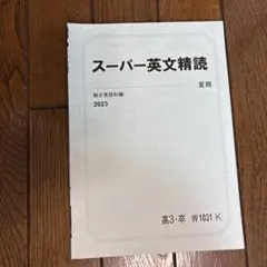 スーパー英文精読　2024 　未使用プリントつき　駿台　夏期講習　竹岡先生 駿台 スーパー英文精読 2024 竹岡広信 板書プリント全部付き