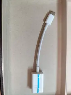 純正品　アップル Apple USB-C USBアダプタ