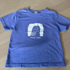 モンベル⭐︎100