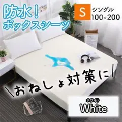 Item thumbnail for item 9078b9a9-b04a-4e84-8c02-ec8fdbdb5f09